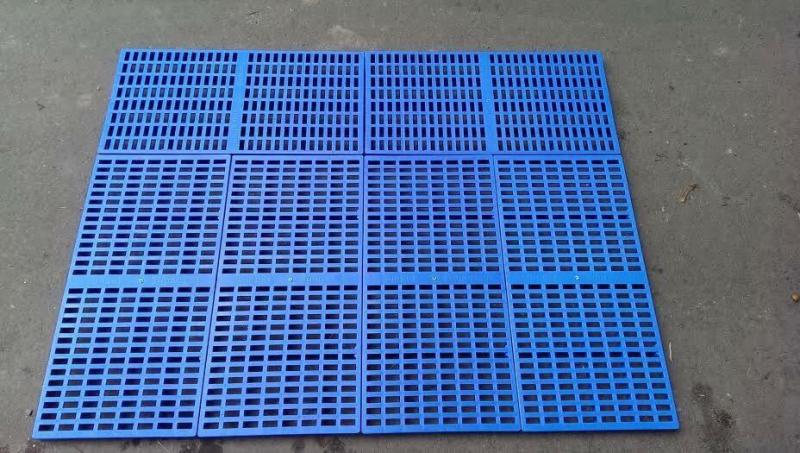 Combo 6 tấm sàn thương hiệu SUNPET kích thước 30x60 giá 270k