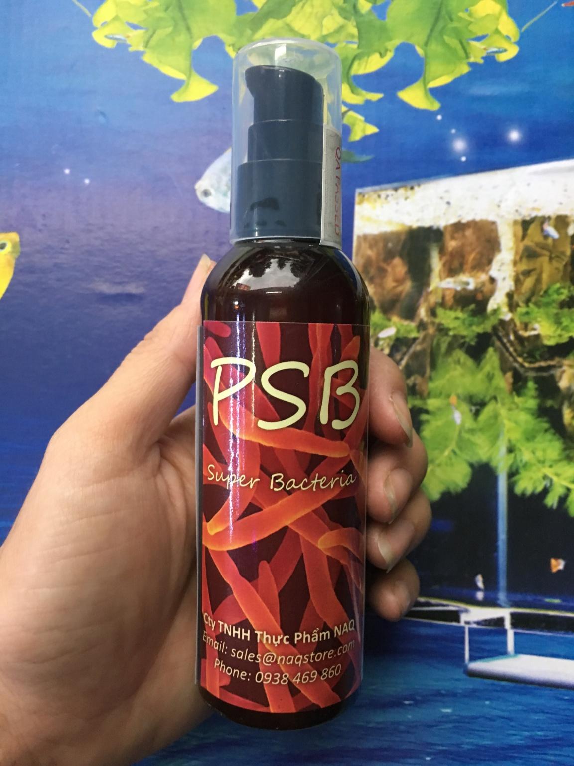 [HCM]Vi khuẩn quang hợp PSP cho hồ cá