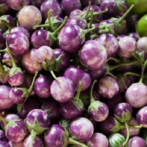 Gói 1g Hạt giống Cà Pháo Tím (tặng gói kích nẩy mầm và hướng dẫn)