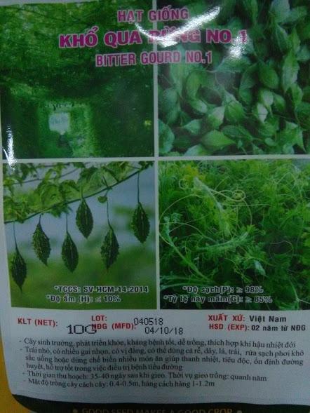 Hạt giống khổ qua rừng No 1- gói 10g - 50 hạt