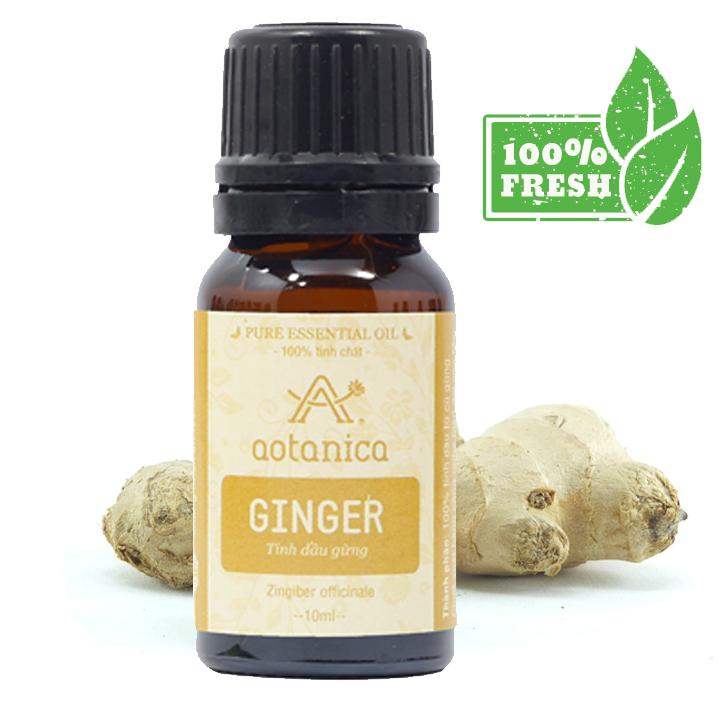 Tinh dầu Gừng 100% tự nhiên Aotanica