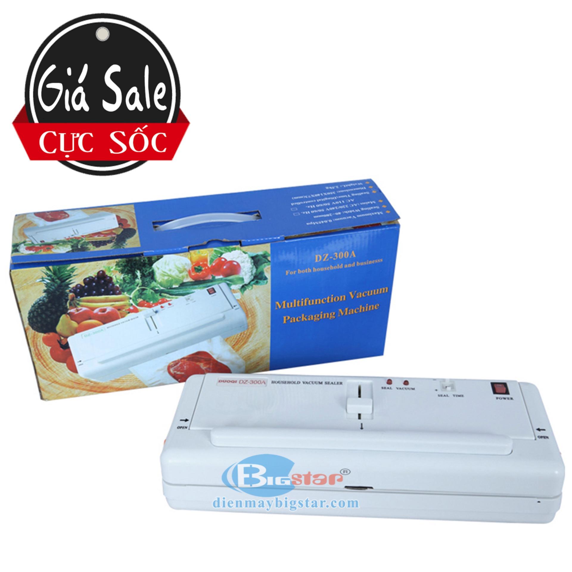 Máy hút chân không mini DZ-300A