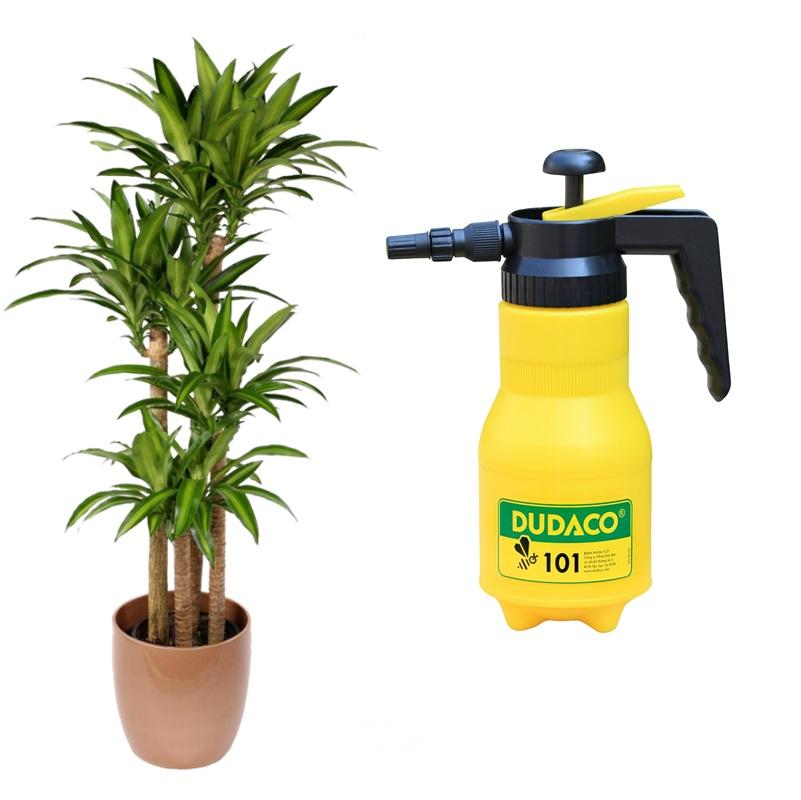 Bình Tưới Cây DUDACO Loại 1 Lít – Bình Xịt Nước Dạng Phun Sương – HOME BABY