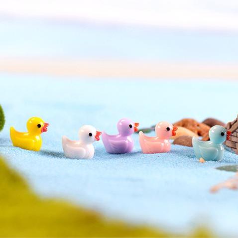 [HCM]Phụ kiện tiểu cảnh - 5 CON Vịt trang trí cây cảnh mini sen đá xương rồng bonsai charm slime