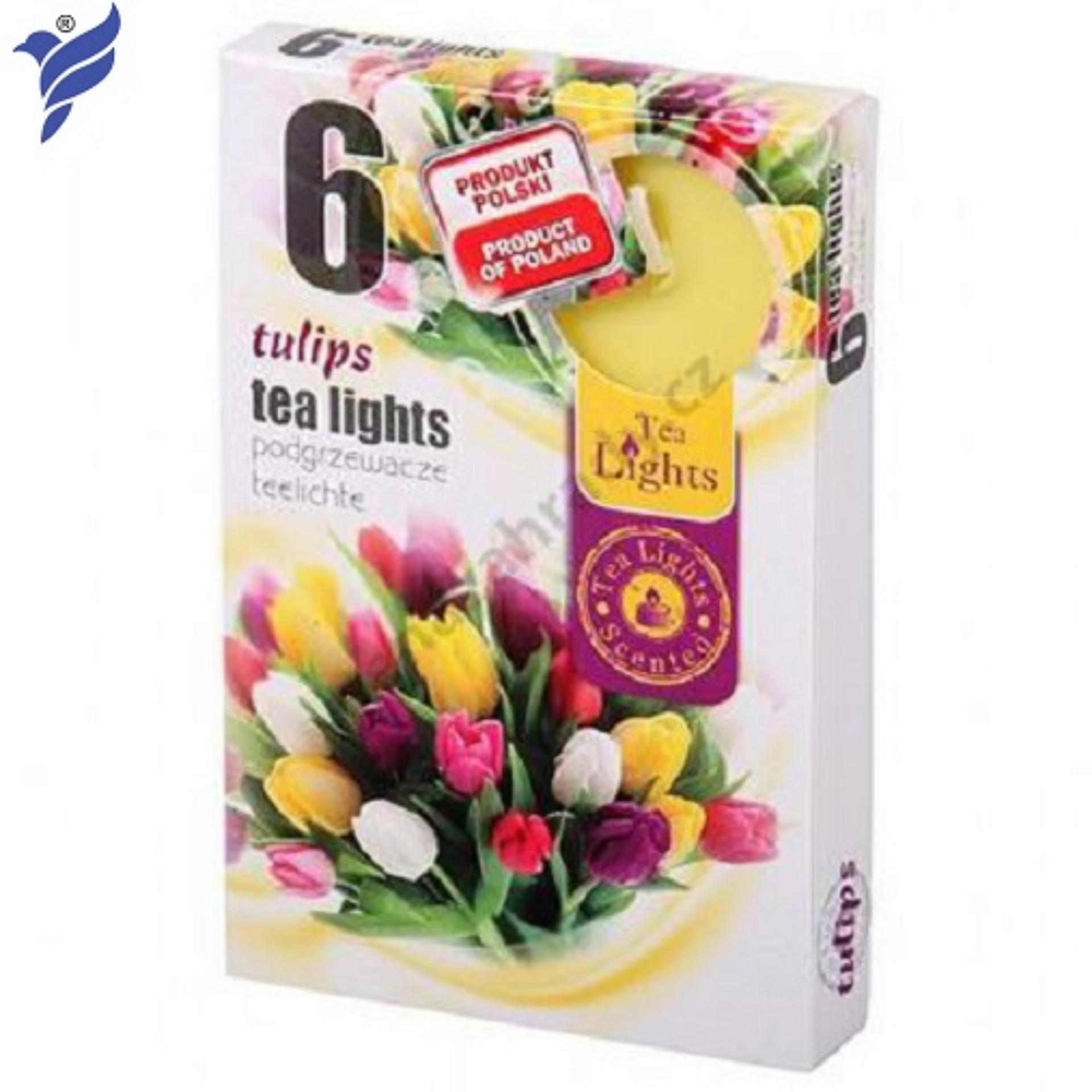 Hộp 6 nến thơm tea lights admit tulips adm7746