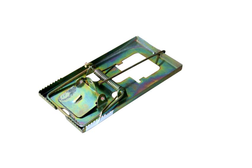 2 bẫy chuột răng cưa - loại dầy