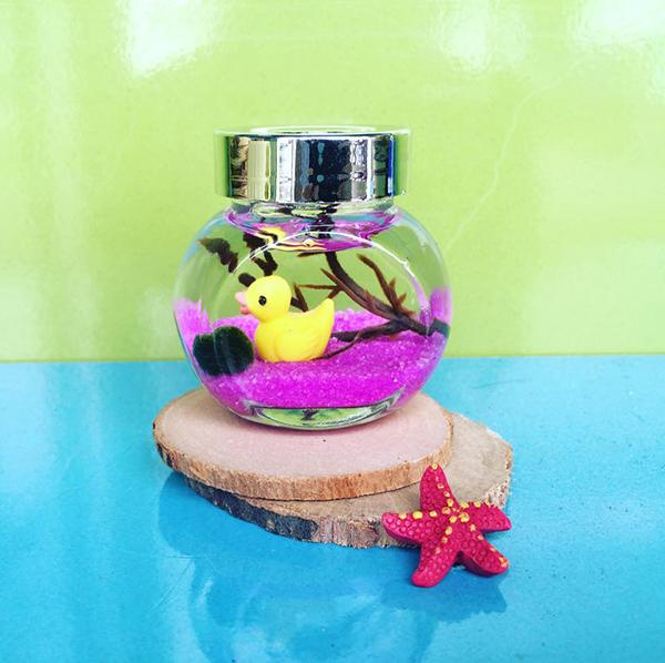 Lọ Marimo, tảo cầu Nhật Bản chủ đề chú vịt con chăm chỉ