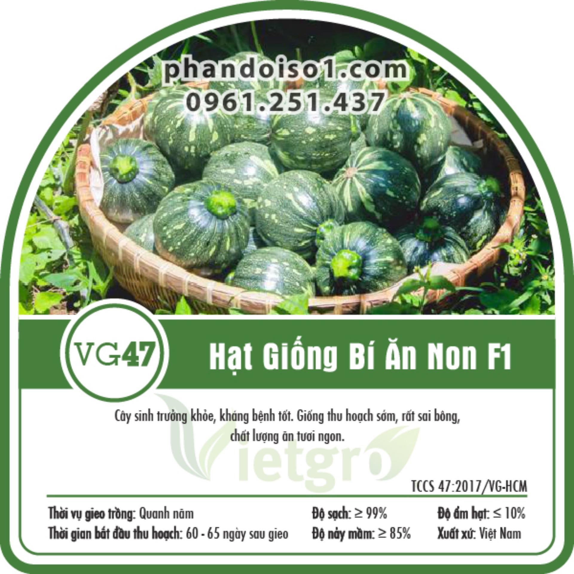 Hạt giống bí ăn non f1 vietgro
