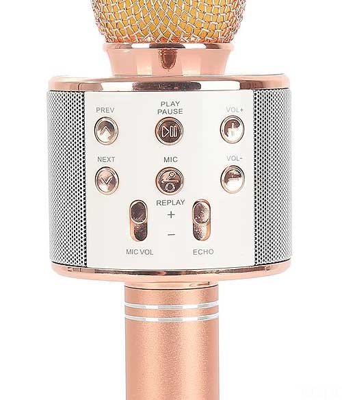 Microphone Karaoke Kèm Loa WSTER YS-858