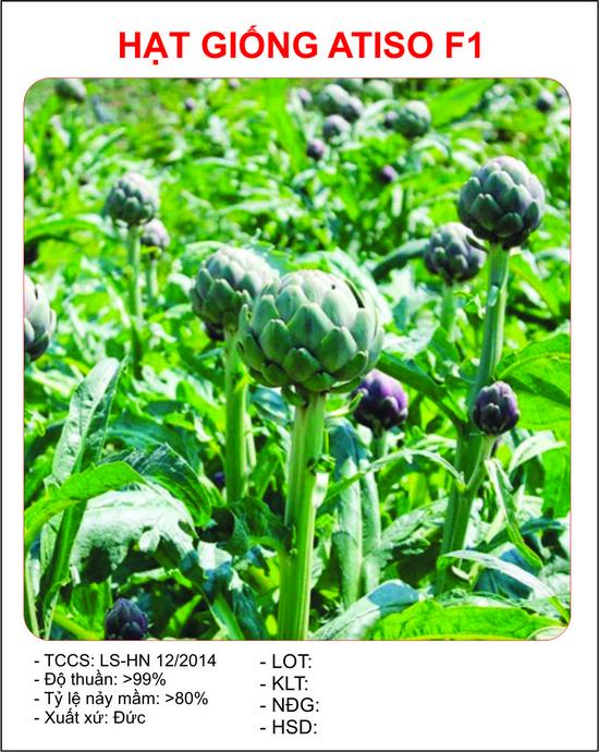 Hạt giống Atiso F1