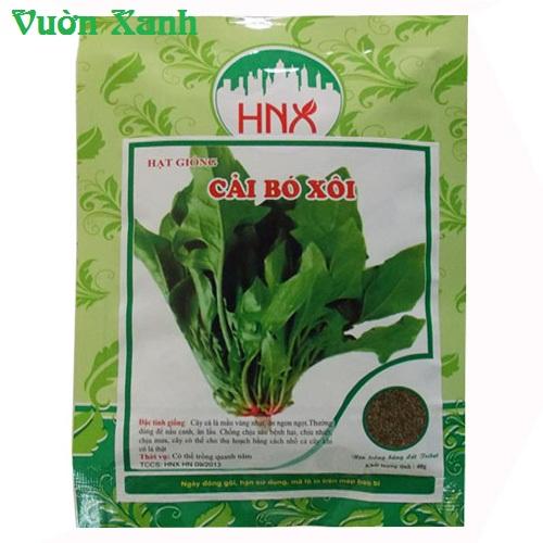 Hạt giống cải bó xôi (rau chân vịt) 20gr