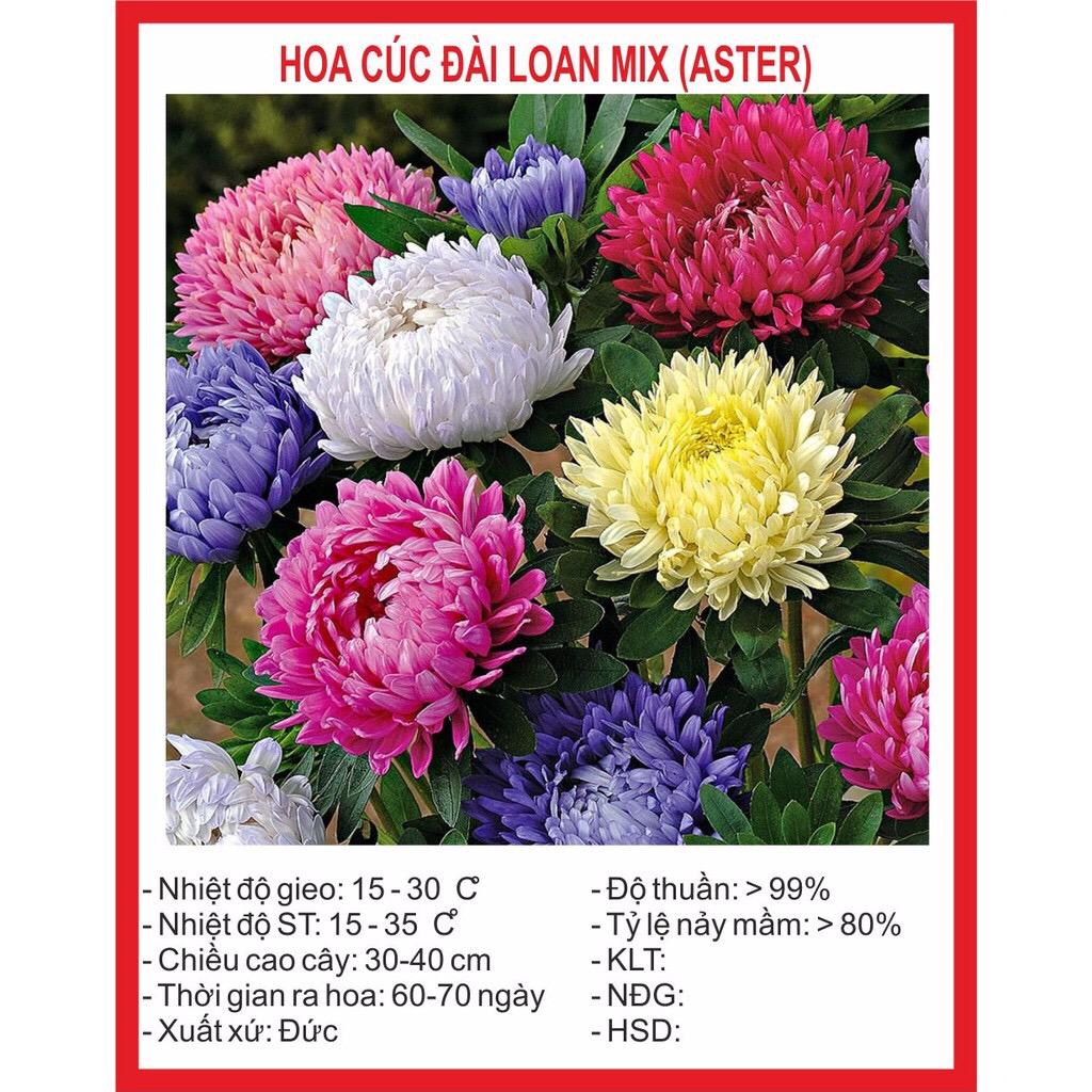 [Lấy mã giảm thêm 30%] Hạt giống hoa Cúc Đài Loan (50 hạt)