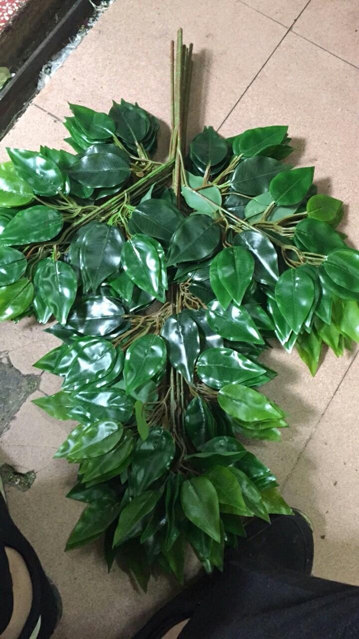 Set 5 cành lá si nhỏ