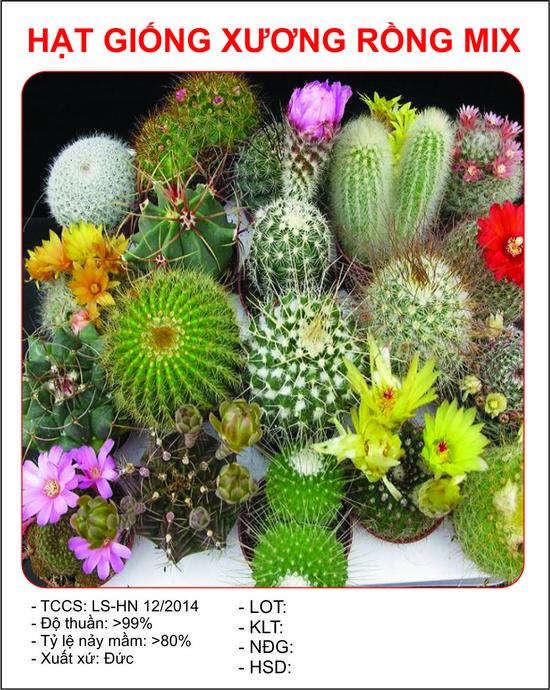 [Lấy mã giảm thêm 30%] Hạt giống Xương rồng cảnh mix (15 hạt)