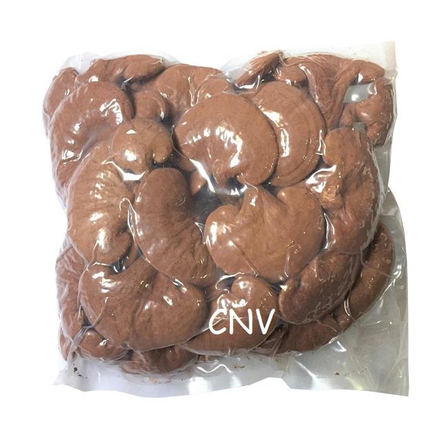Hồng chi Đà Lạt nguyên bào tử nhà trồng 500g