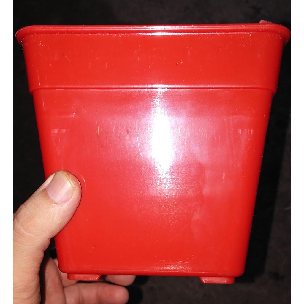 [HCM]Chậu Vuông 14X12 (Set 10 Cái) Chậu vuông kích thước: cạnh 14cm- cao 12cm  (1 set 10 cái 1 màu)  Chất liệu nhựa PP cao cấp- bền đẹp- dày  - Sản phẩm chất lượng - gian hàng uy tín - giá luôn tốt - mua ngay kẻo lỡ !