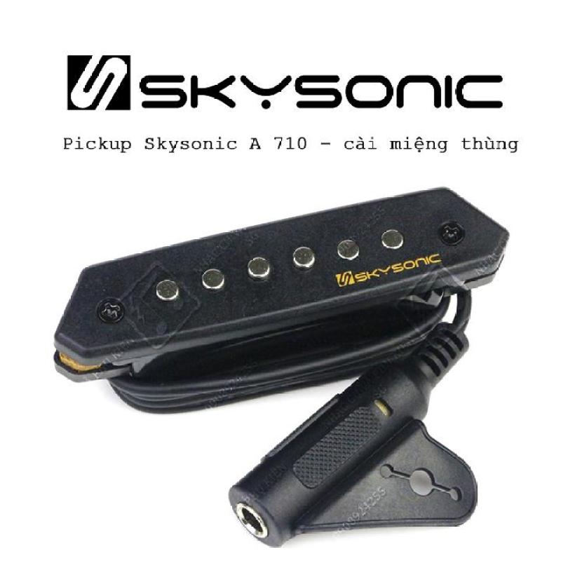 Thu âm miệng lỗ đàn guitar SKYSONIC A710