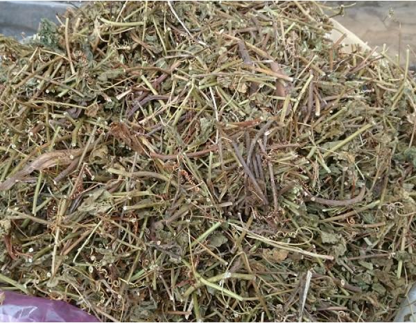 Dây lạc tiên 1kg