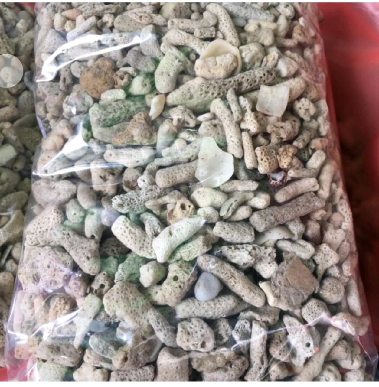 San hô lọc hồ cá 1kg - san hô bể cá