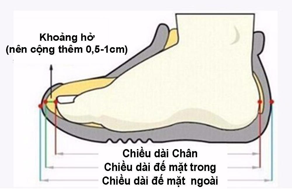 size2.jpg