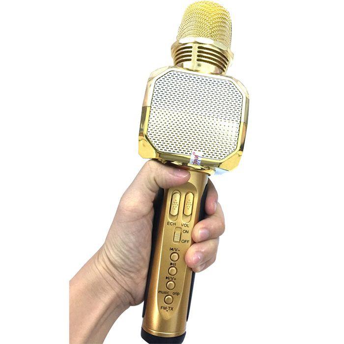 Mic karaoke sd 10 kèm loa bluetooth 1000000642