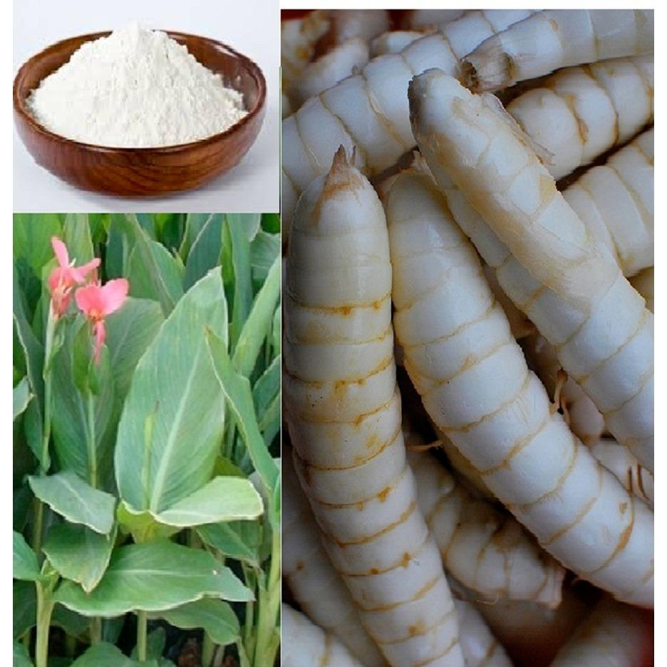 Tinh Bột Củ Đao Bạch Tuyết Túi 100G