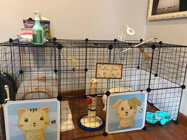 Chuồng quây thú cưng lắp ghép đa năng, chuồng cho pet, chuồng chó, lồng mèo, combo như hình