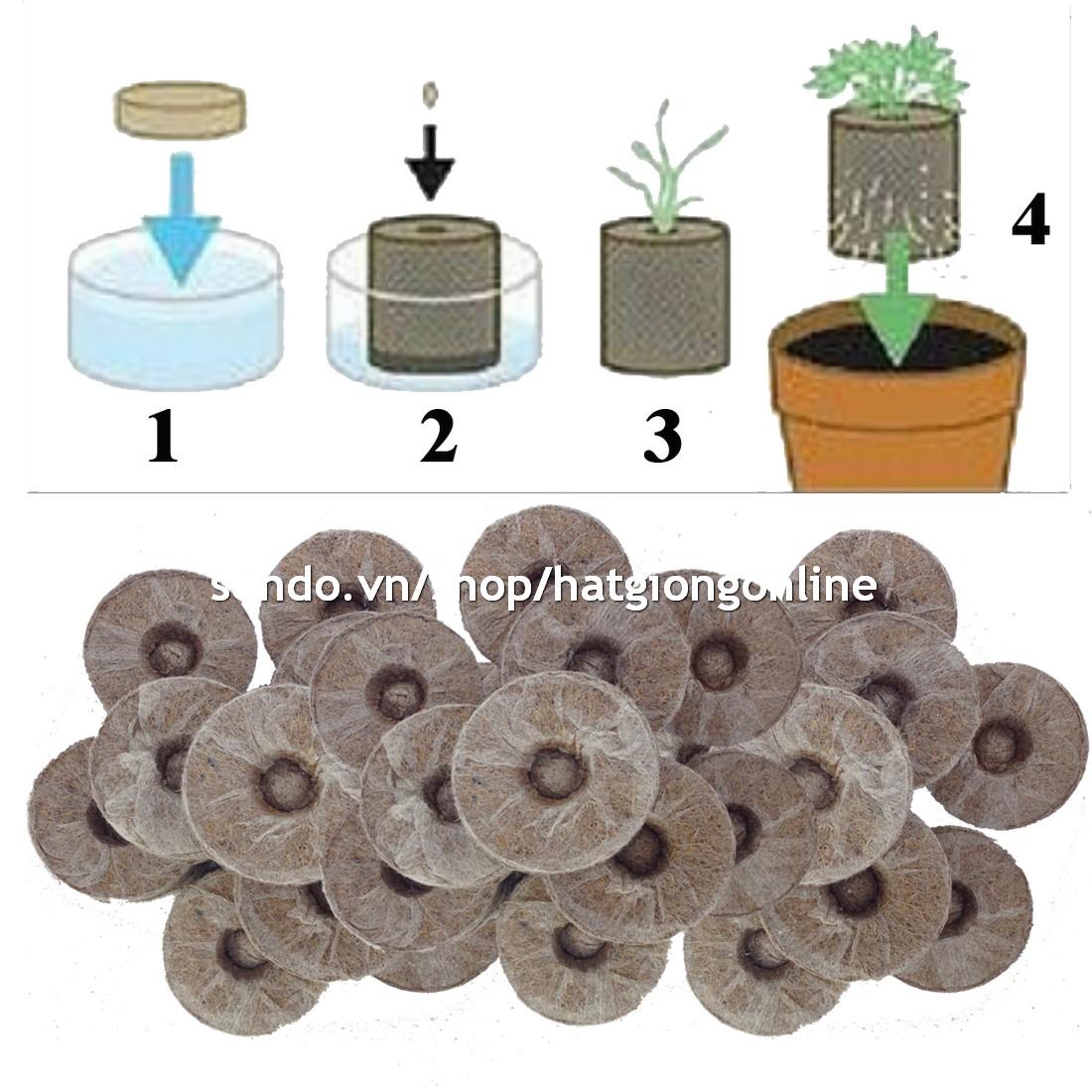 Bộ 15 viên nén ươm hạt giống (viên nén xơ dừa)