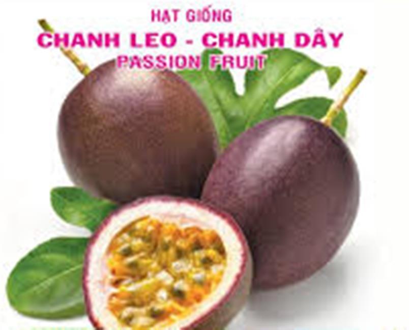 Hạt giống chanh dây - chanh leo - gói 30 hạt