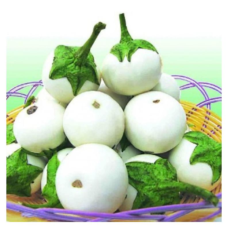 [Lấy mã giảm thêm 30%] Hạt giống Cà Pháo trắng (0.5g)