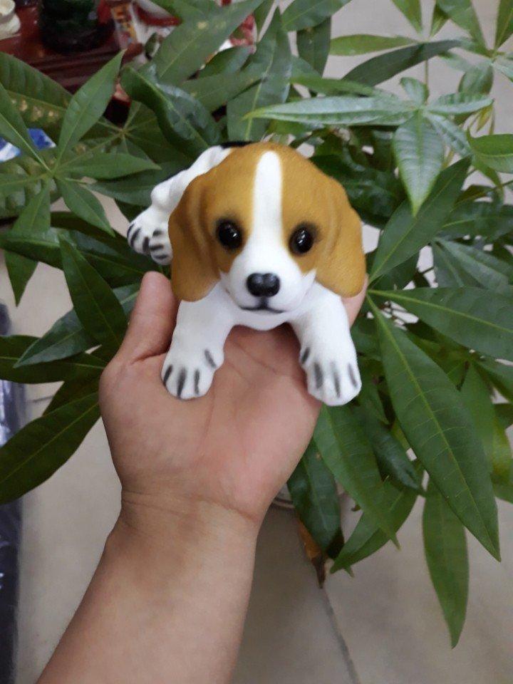 [Hỗ trợ lắp đặt khách Hà Nội] Chó lắc lư theo xe