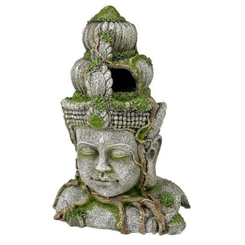 trang trí thuỷ sinh , hồ cá - Phật Bayon Cambodia