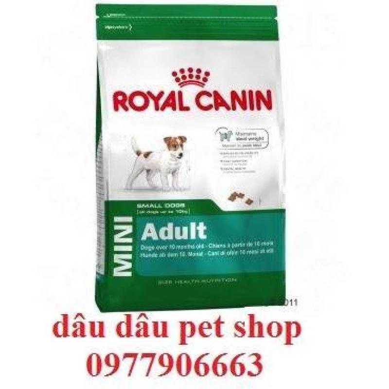 THỨC ĂN CÚN RC MINI ADULT( THỨC ĂN CHO CHÓ LỚN)