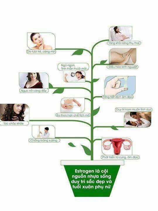 1KG (2 HỘP) MẦM ĐẬU NÀNH NGUYÊN XƠ ĐẸP DA TĂNG VÒNG 1