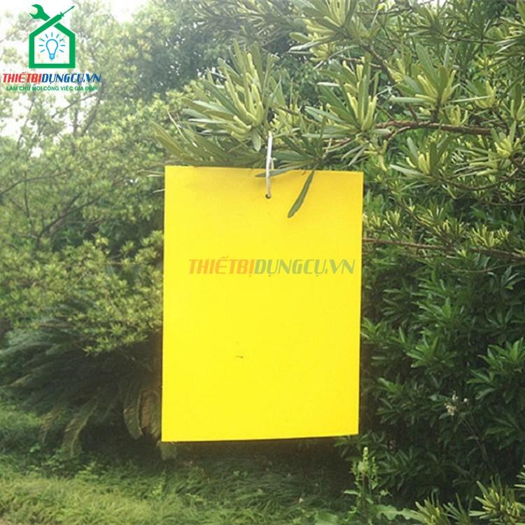 5 miếng bẫy côn trùng nông nghiệp khổ 20x30