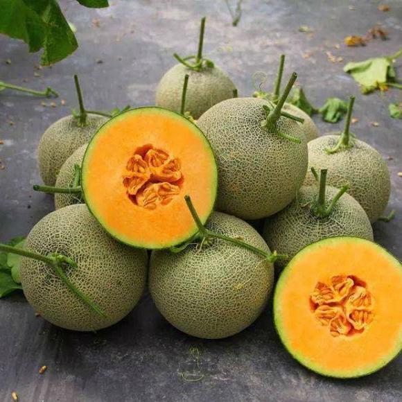 [Lấy mã giảm thêm 30%] Hạt giống Dưa Lưới F1 (05g)