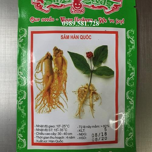 Bộ 2 Túi Hạt Giống Nhân Sâm Hàn Quốc Loại Tốt. Mỗi Túi 5 Hạt Chất Lượng Cao.