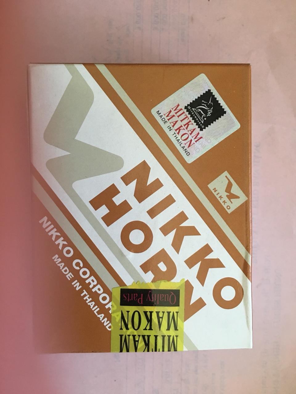 ken_nikko.jpg