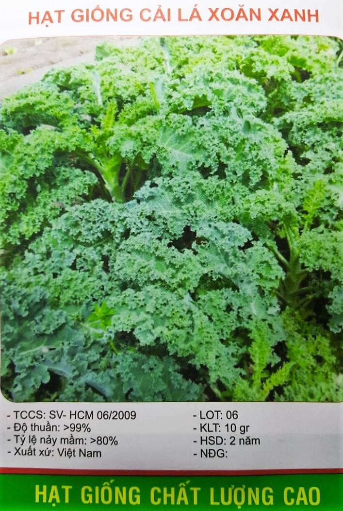 [HCM]Hạt Giống  Cải Lá Xoăn Xanh -KLT 10gram .