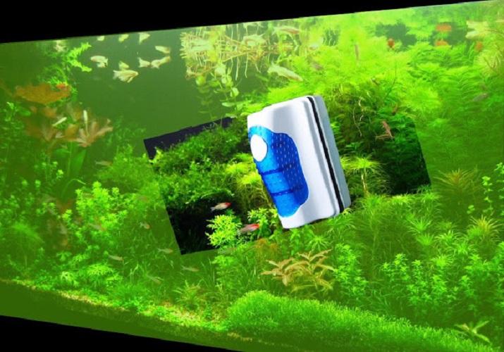 Nam châm cọ bể vệ sinh bể cá, hồ cá cảnh tiện dụng