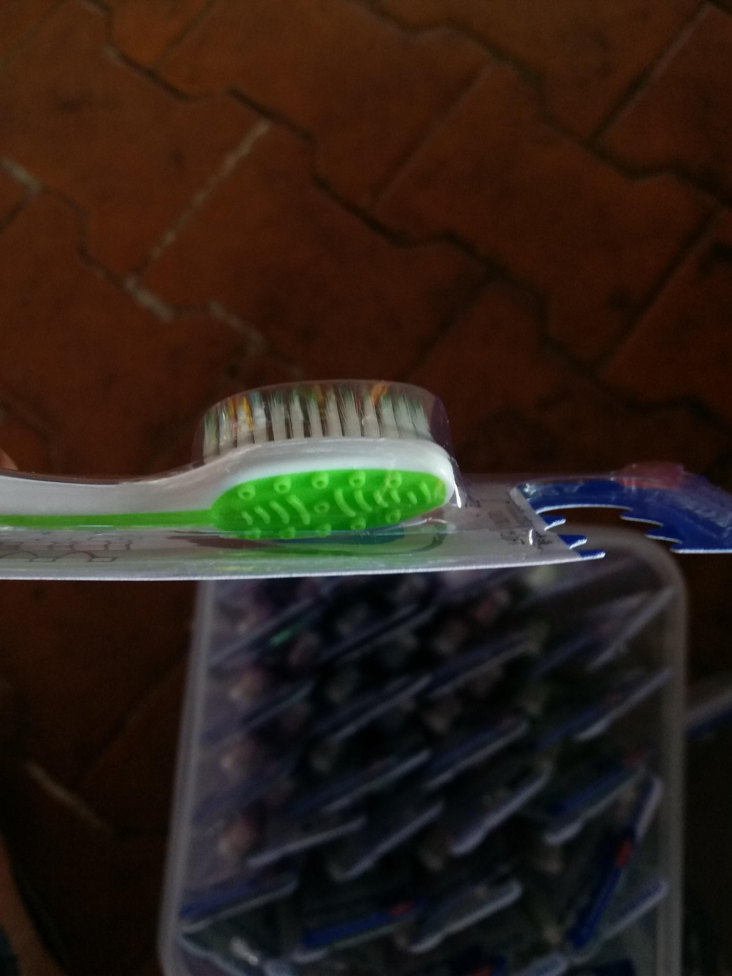 Bộ 50 bàn chải răng Thái Lan Freshly