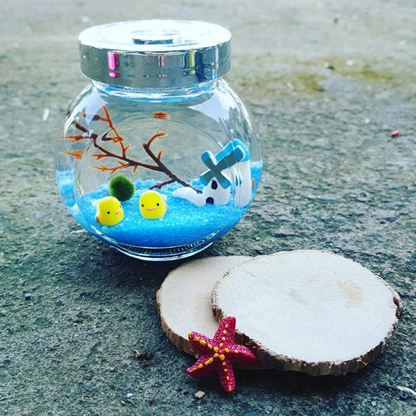 Lọ maimo, tảo cầu Nhật Bản chủ đề sweet house