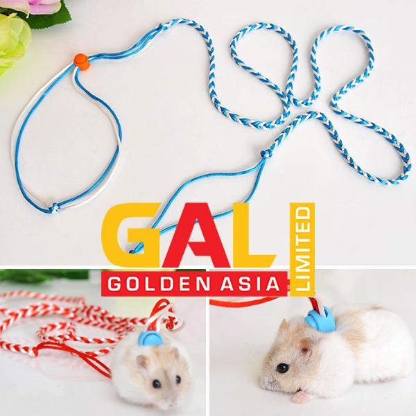 Dây dắt thú cưng, dây dắt Hamster nhím thỏ bọ