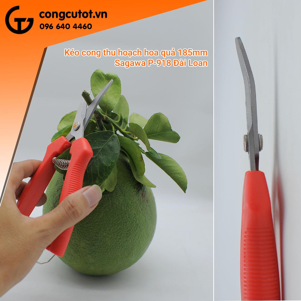 Kéo tỉa hoa quả - kéo thu hoạch lưỡi cong Sagawa P-918 180mm