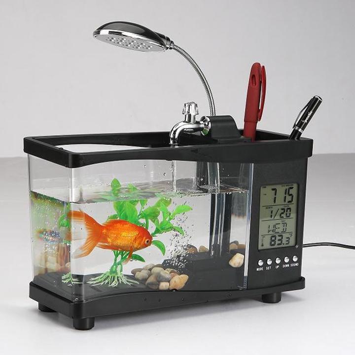 Bể cá mini kiêm đồng hồ để bàn sang trọng_