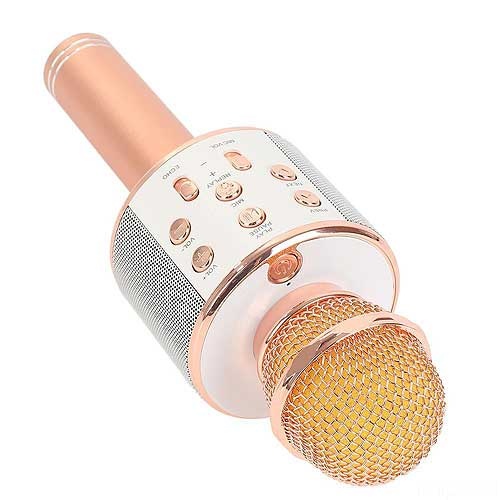 Microphone Karaoke Kèm Loa WSTER YS-858