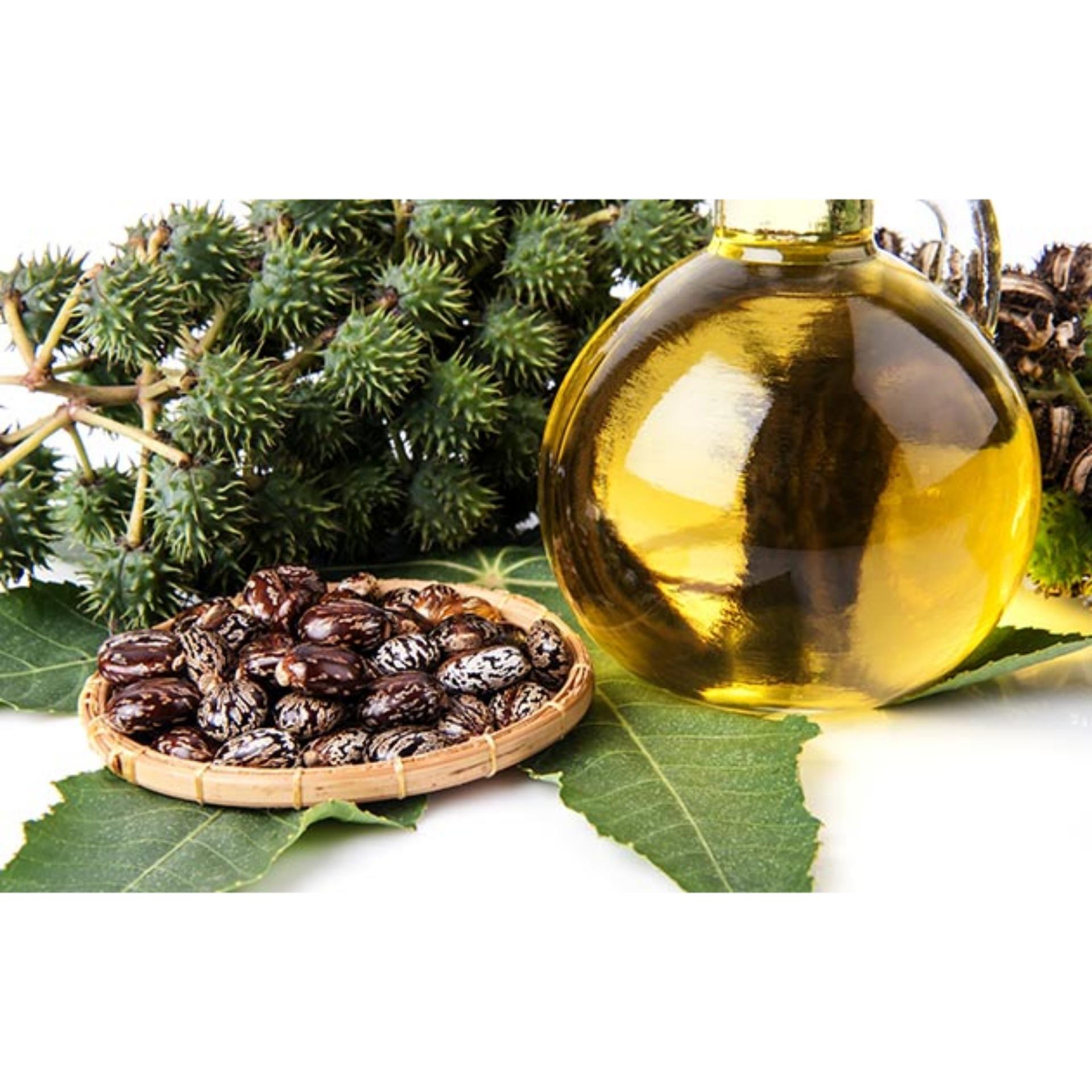 500 ml Dầu Thầu Dầu_Castor Oil_nguyên liệu làm mỹ phẩm handmade