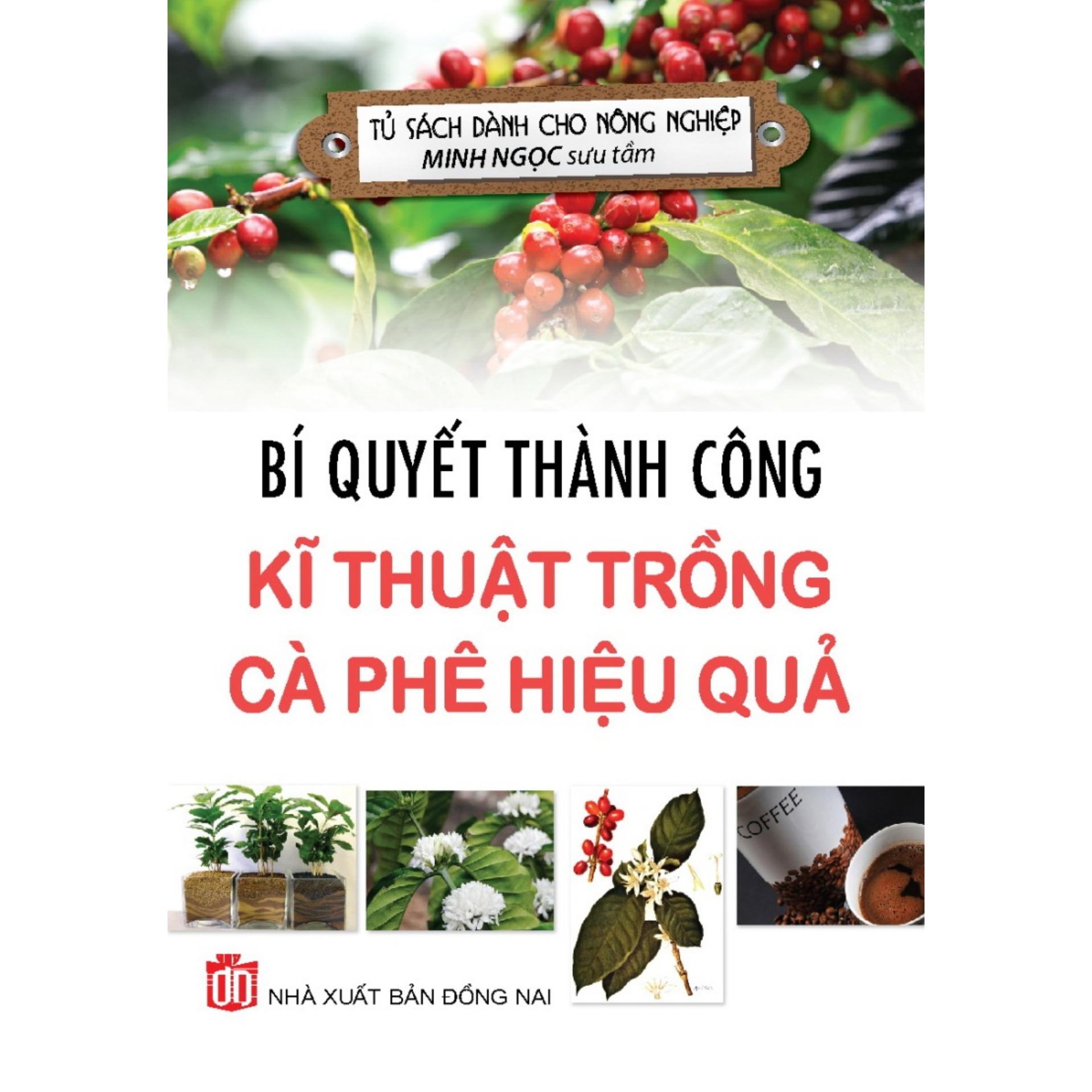 Bí quyết thành công - kĩ thuật trồng cà phê hiệu quả