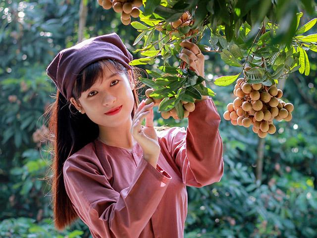 LONG NHÃN HƯNG YÊN LOẠI NGON DÙNG LÀM QUÀ BIẾU TM ( 0,5 KG CẢ HỘP)
