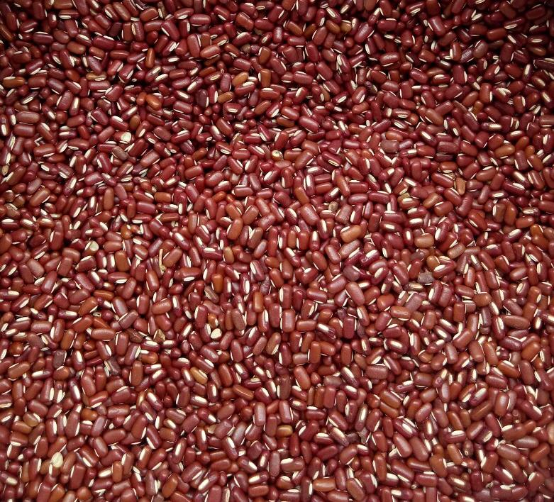 Đậu đỏ hạt nhỏ (xích tiểu đậu) 1Kg